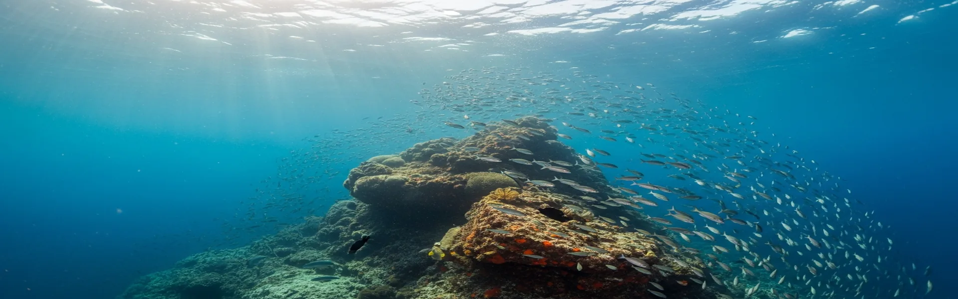 Manta Point diving site in Komodo with clear blue waters